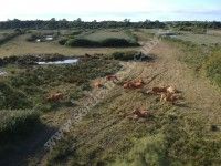 Découverte du marais du Logit