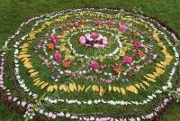 Célébrer le Solstice d'Eté