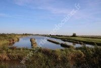 Découverte des marais du Conseiller