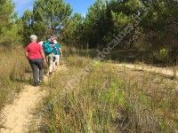 Balade La Dune de Grave