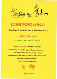 Canicross Loisir