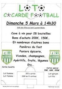 LOTO Cocarde Football