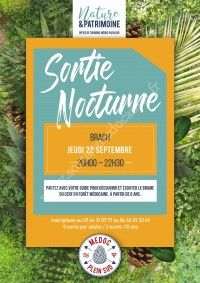 Sortie nocturne - Brame du cerf