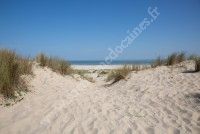 Découverte de la Dune de Grave