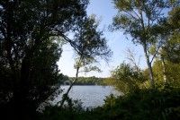 Connaître nos serpents et nos amphibiens