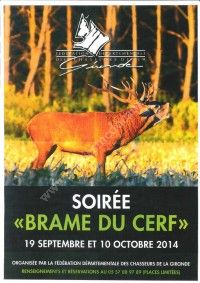 Soirée Brame du Cerf