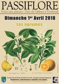 Foire aux Plantes 2018