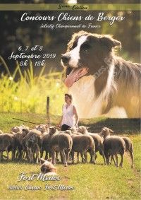 Concours de Chiens de Berger