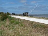 St Vivien : de marais en marais - Trame Verte & Bleue