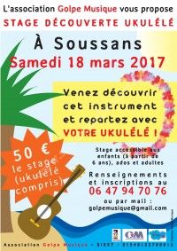 Stage de Ukulélé