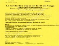 La Rando des Cèpes en Forêt du Porge