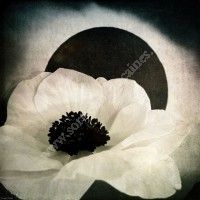 Exposition Florence et Anthony Rodale