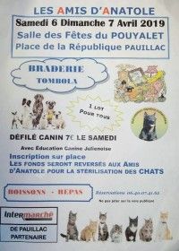 Braderie & Défilé Canin