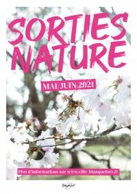 Sortie Nature : Jeu de piste Sur les traces des druides