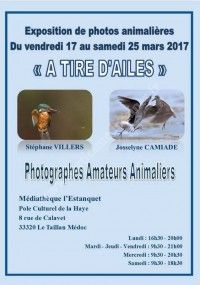 Exposition de Photos Animalières