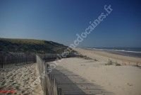 Visites guidées naturalistes