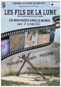 Projection cinéma dans un champs !