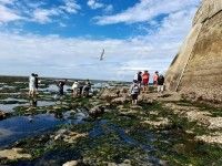 Visite découverte du plateau rocheux du Phare de Cordouan