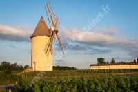 Crédit photo : Château de Malescasse