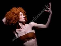 Exposition Photographie - Les Cyclopes