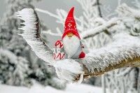 Spectacle de Noël