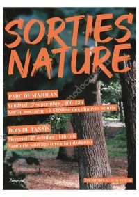 Sortie Nature : Découverte de la vannerie sauvage