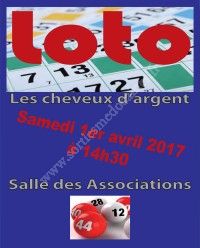 Loto des cheveux d'argent