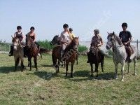 Balade équestre en Médoc estuaire