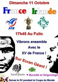 Retransmission Coupe du Monde de Rugby