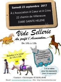 Vide Sellerie