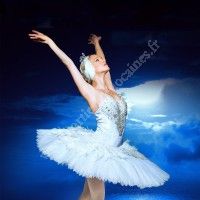 Le Lac des Cygnes / Arkéa Arena