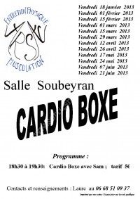 Stage de Cardio-Boxe