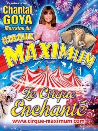 Le Cirque Maximum