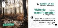 Visite du Massif Forestier