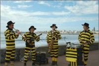 Les Zévadés de la Zic