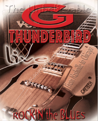 Concert Thunderbird