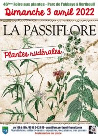 Foire aux Plantes 2022