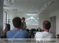 Le monde fascinant des chauves-souris