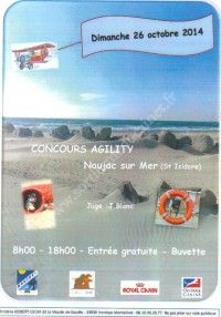 Concours Agility