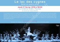 Le Lac des Cygnes