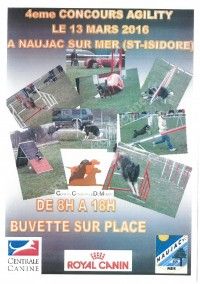 Concours d'Agility