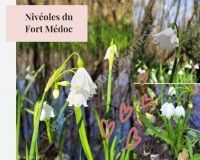 Balade Nature autour du Fort Médoc