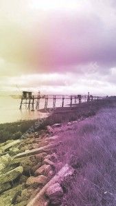 Randonnée Ports & Estuaire