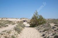 Balade nature - Dune de Grave