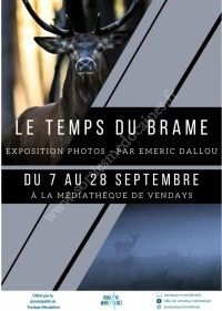 Exposition : Le Temps du Brame