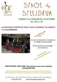 Stage de Steeldrum