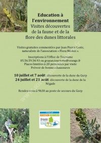 Visite découverte de la faune et de la flore des dunes littorales