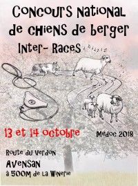 Concours National de Chiens de Berger