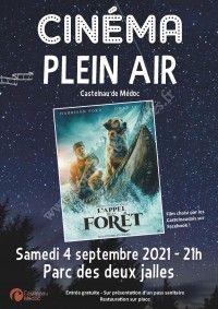 Cinéma en plein air : L'appel de la forêt