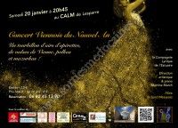 Concert Viennois du Nouvel An